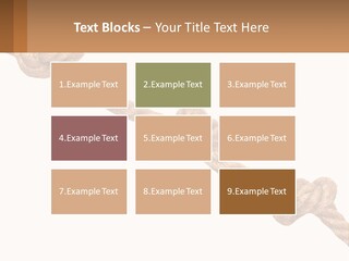 System Electricity House PowerPoint Template