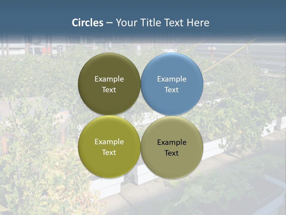 System Cool Technology PowerPoint Template