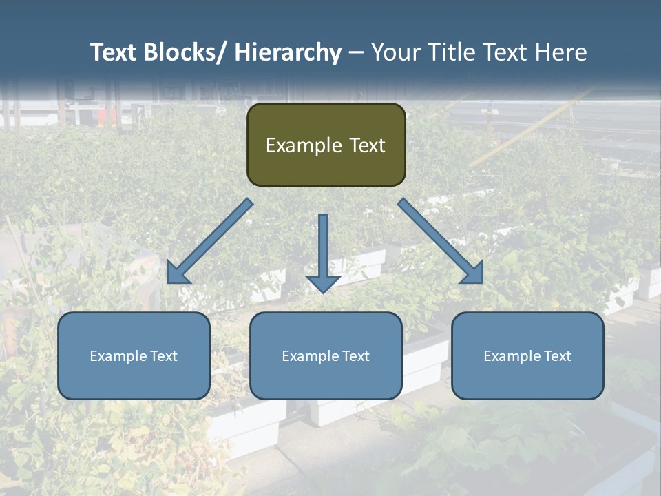 System Cool Technology PowerPoint Template