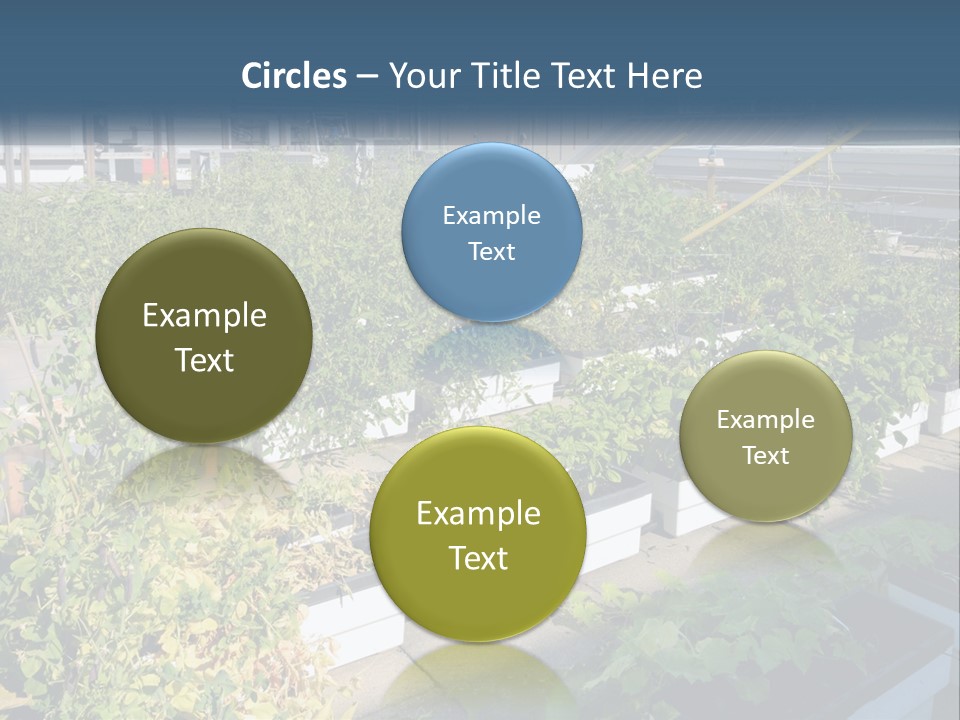 System Cool Technology PowerPoint Template