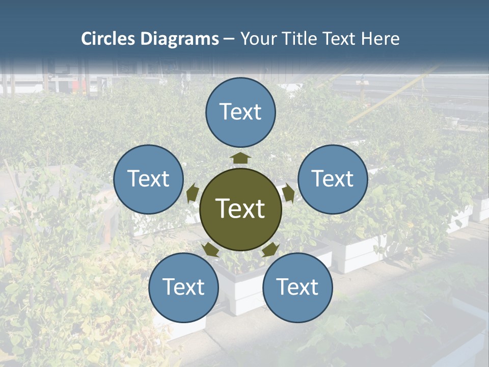 System Cool Technology PowerPoint Template