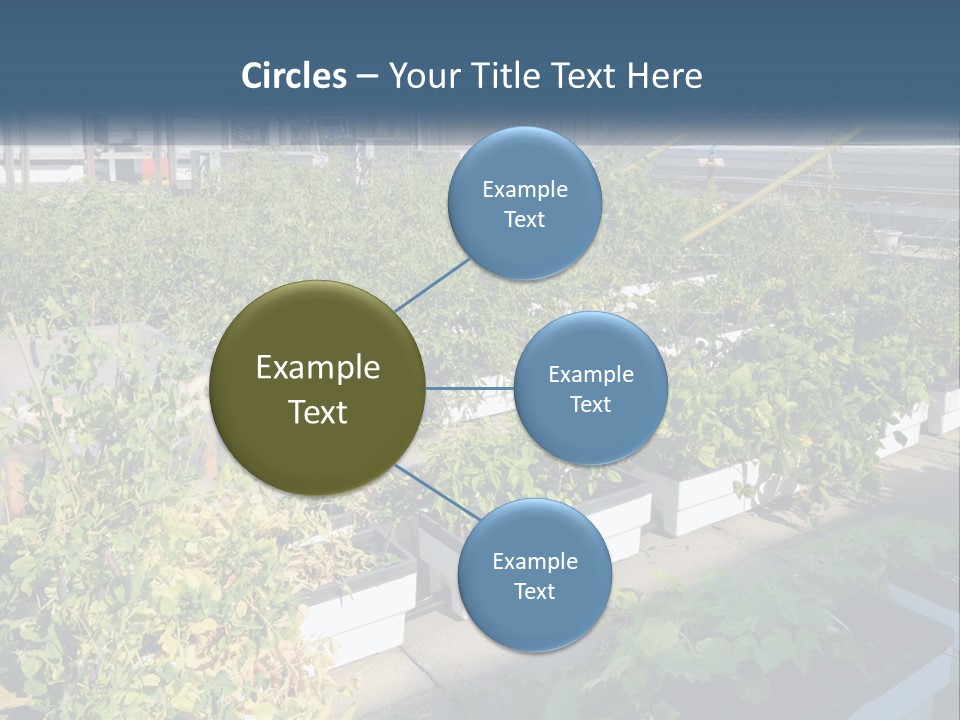System Cool Technology PowerPoint Template
