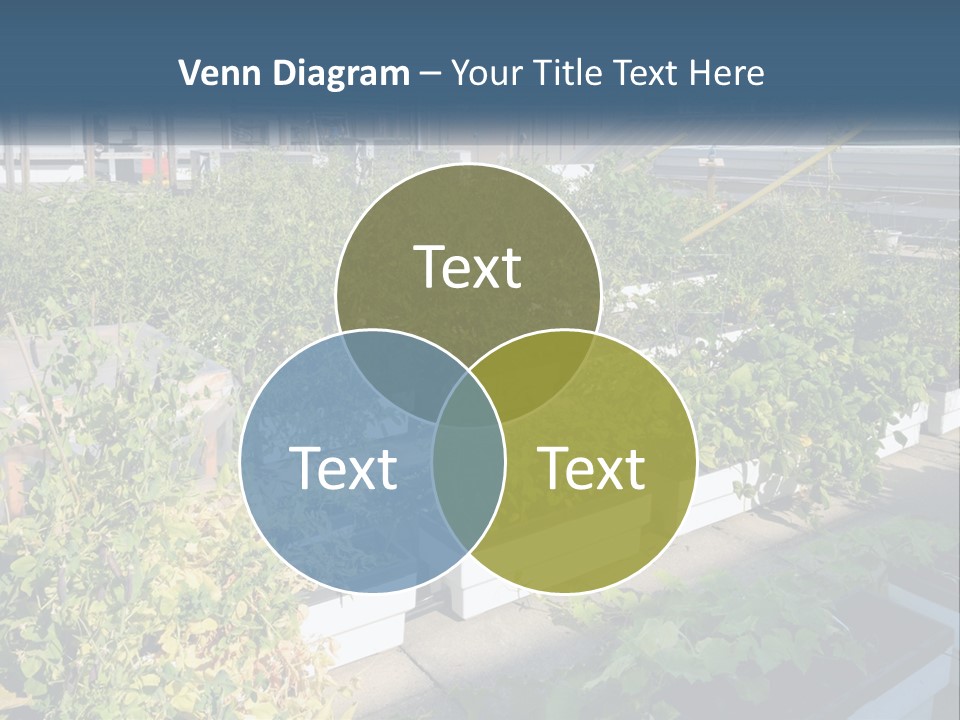 System Cool Technology PowerPoint Template