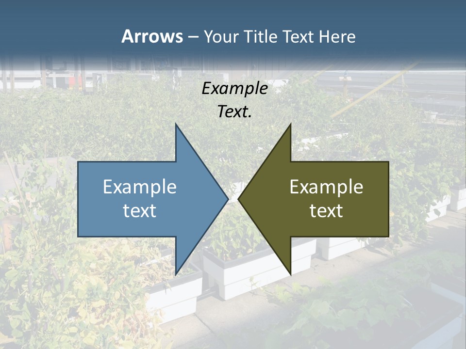 System Cool Technology PowerPoint Template