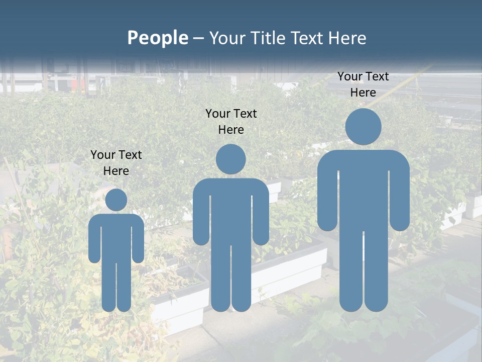 System Cool Technology PowerPoint Template