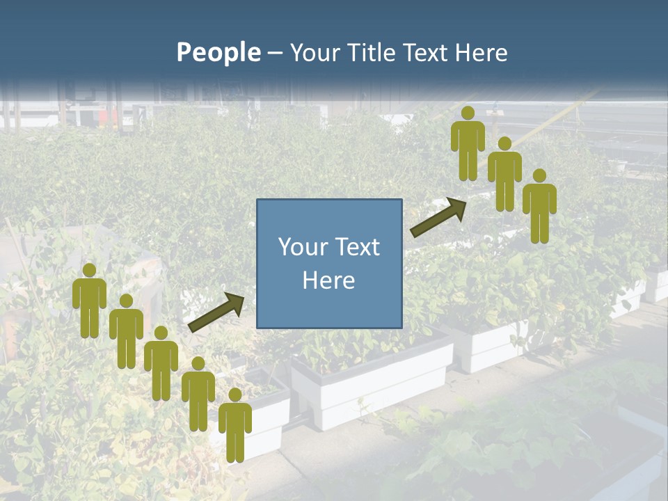 System Cool Technology PowerPoint Template