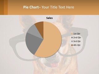 Industry Cold Equipment PowerPoint Template