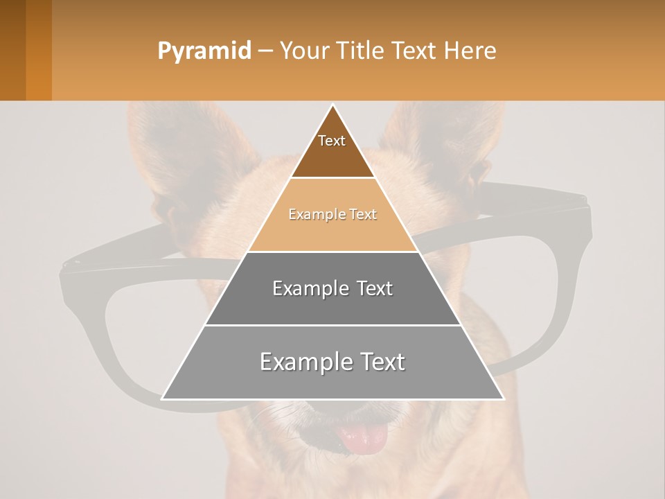 Industry Cold Equipment PowerPoint Template