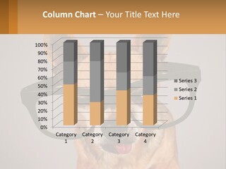 Industry Cold Equipment PowerPoint Template