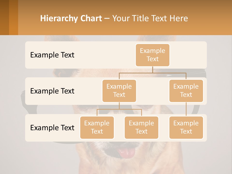 Industry Cold Equipment PowerPoint Template