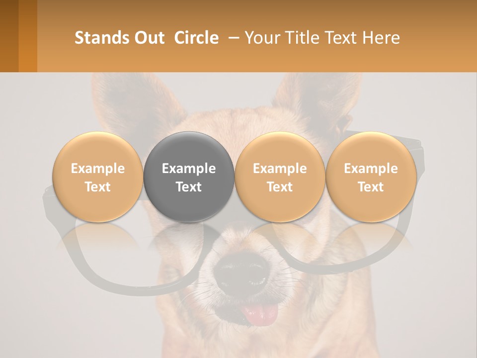 Industry Cold Equipment PowerPoint Template