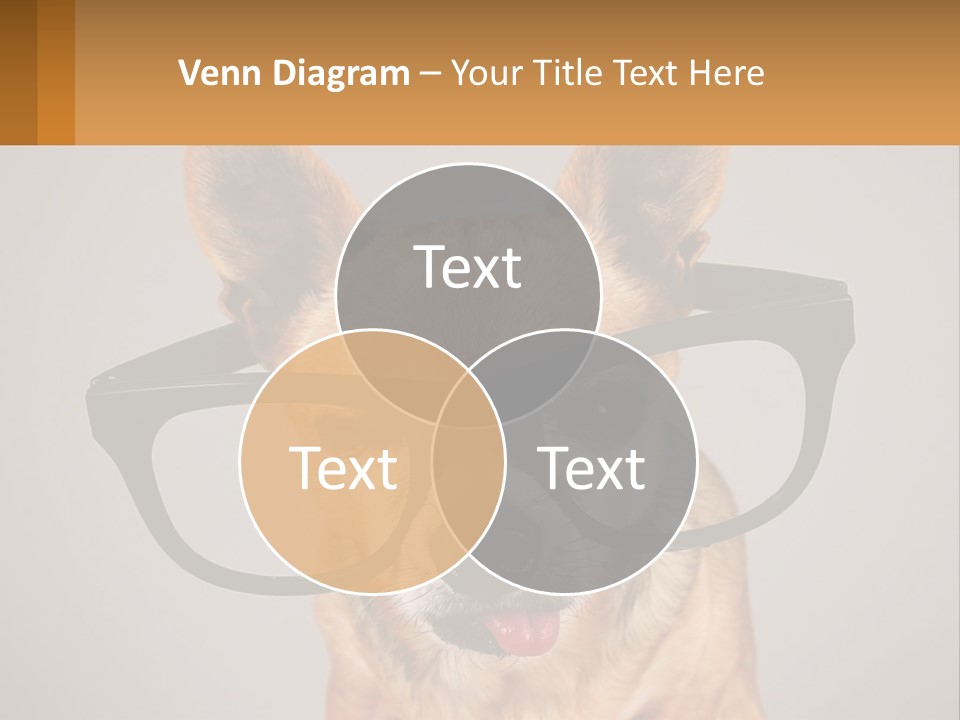 Industry Cold Equipment PowerPoint Template