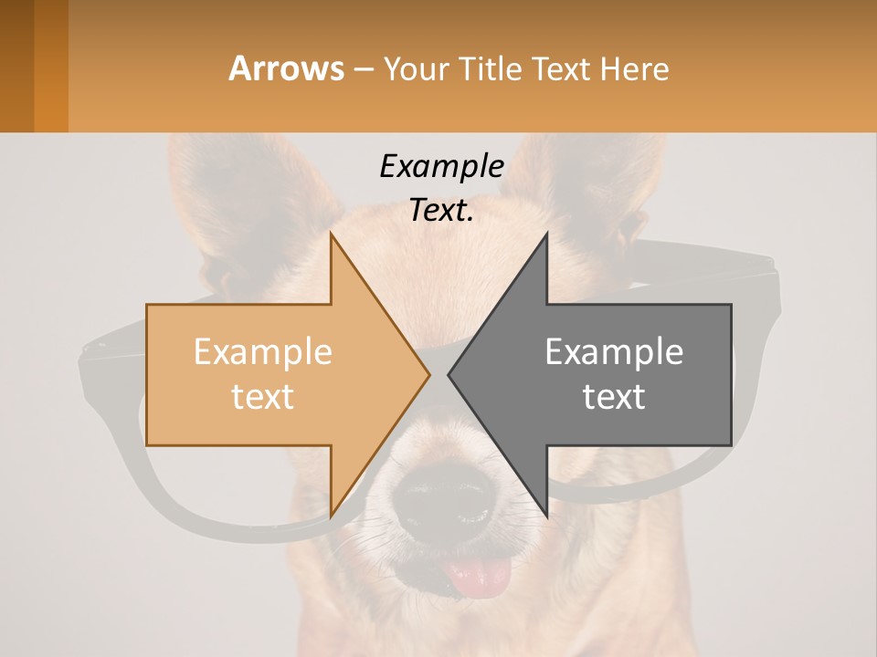Industry Cold Equipment PowerPoint Template