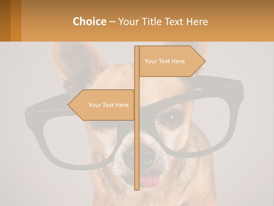 Industry Cold Equipment PowerPoint Template