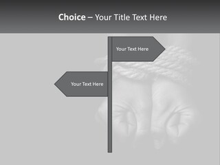 Heat Cold Ventilation PowerPoint Template