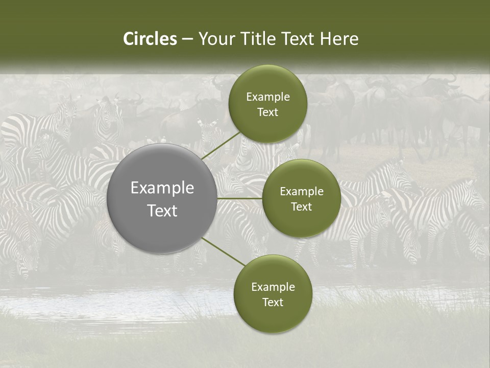 Cold Supply Heat PowerPoint Template