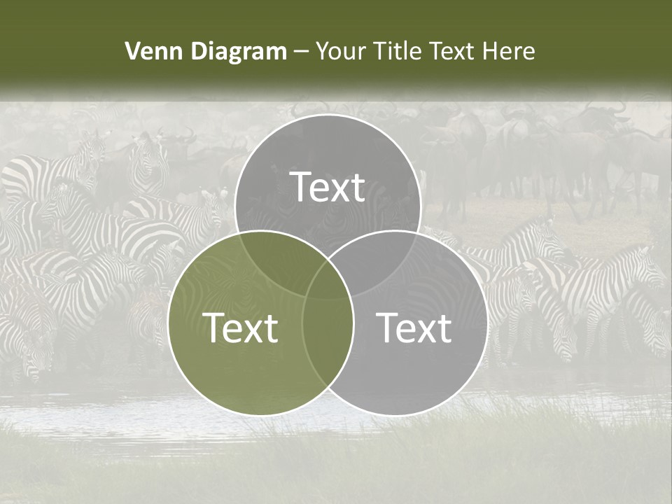 Cold Supply Heat PowerPoint Template