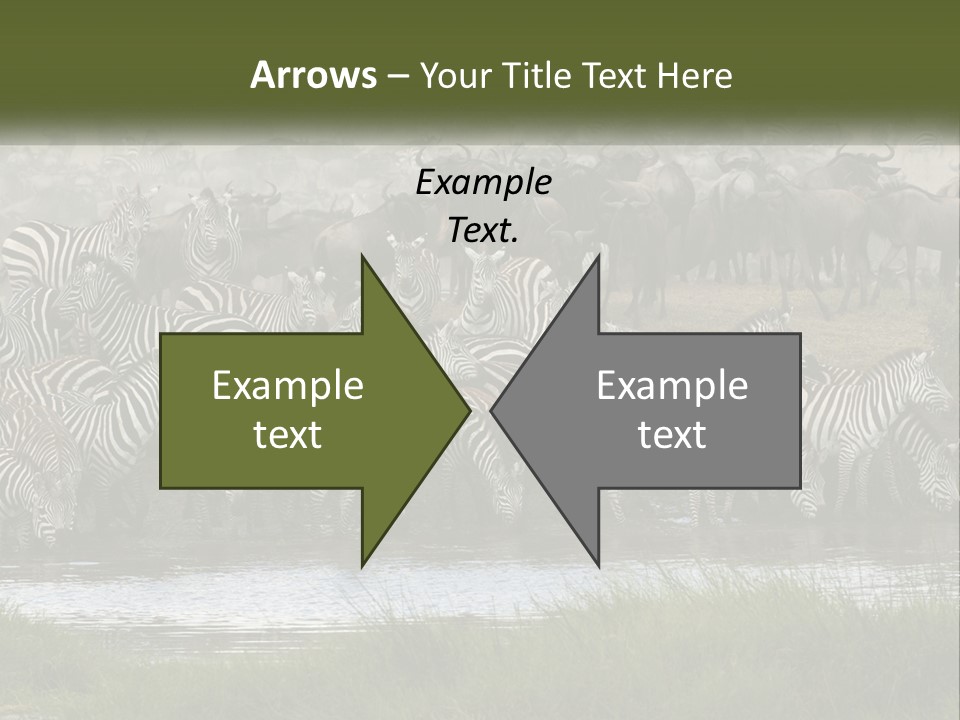 Cold Supply Heat PowerPoint Template