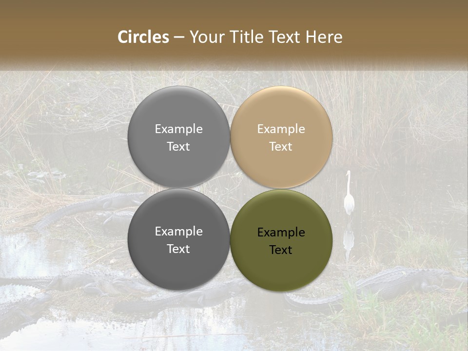 Ventilation Heat House PowerPoint Template