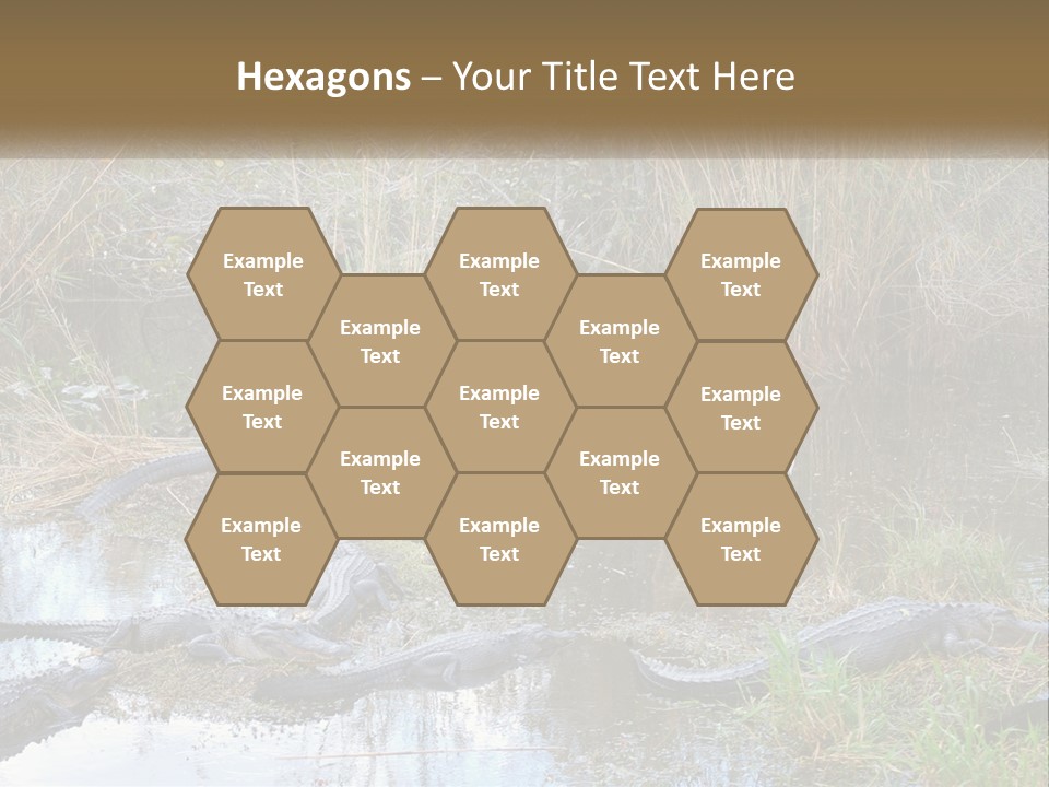 Ventilation Heat House PowerPoint Template