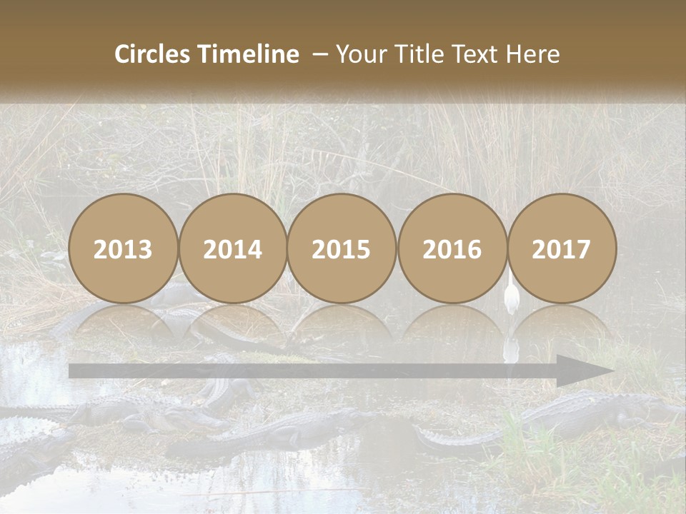 Ventilation Heat House PowerPoint Template