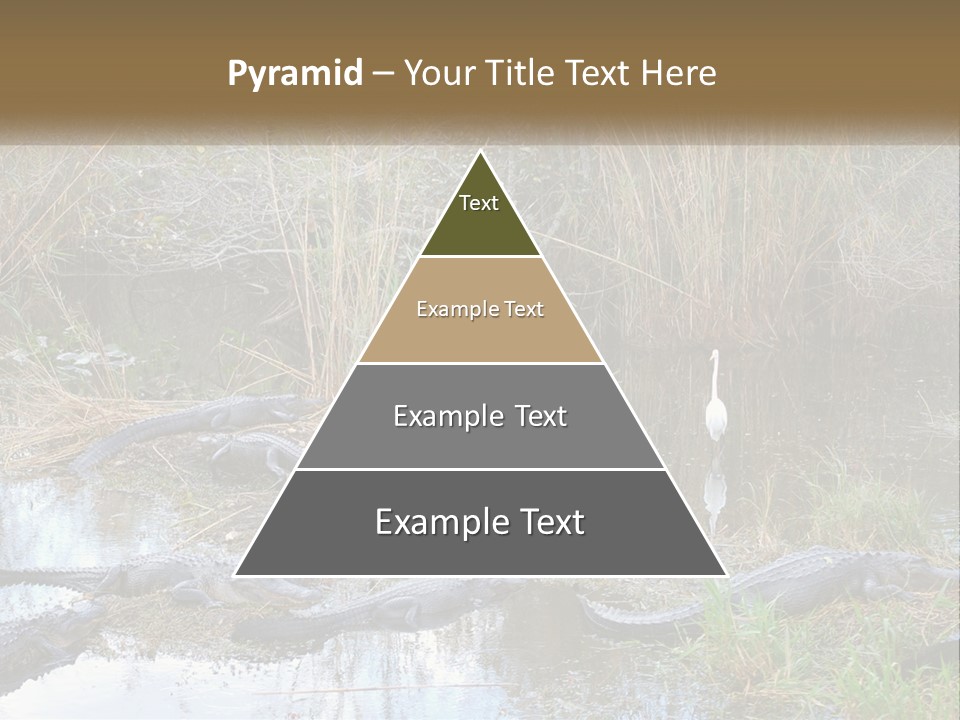 Ventilation Heat House PowerPoint Template
