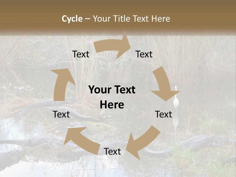 Ventilation Heat House PowerPoint Template