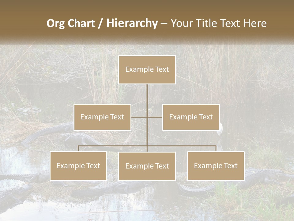 Ventilation Heat House PowerPoint Template