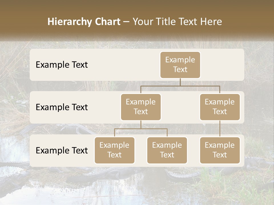 Ventilation Heat House PowerPoint Template
