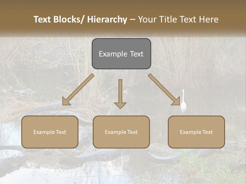 Ventilation Heat House PowerPoint Template