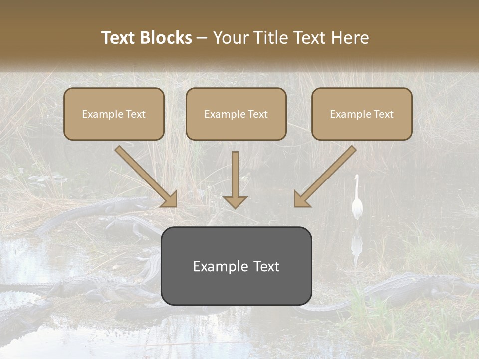 Ventilation Heat House PowerPoint Template