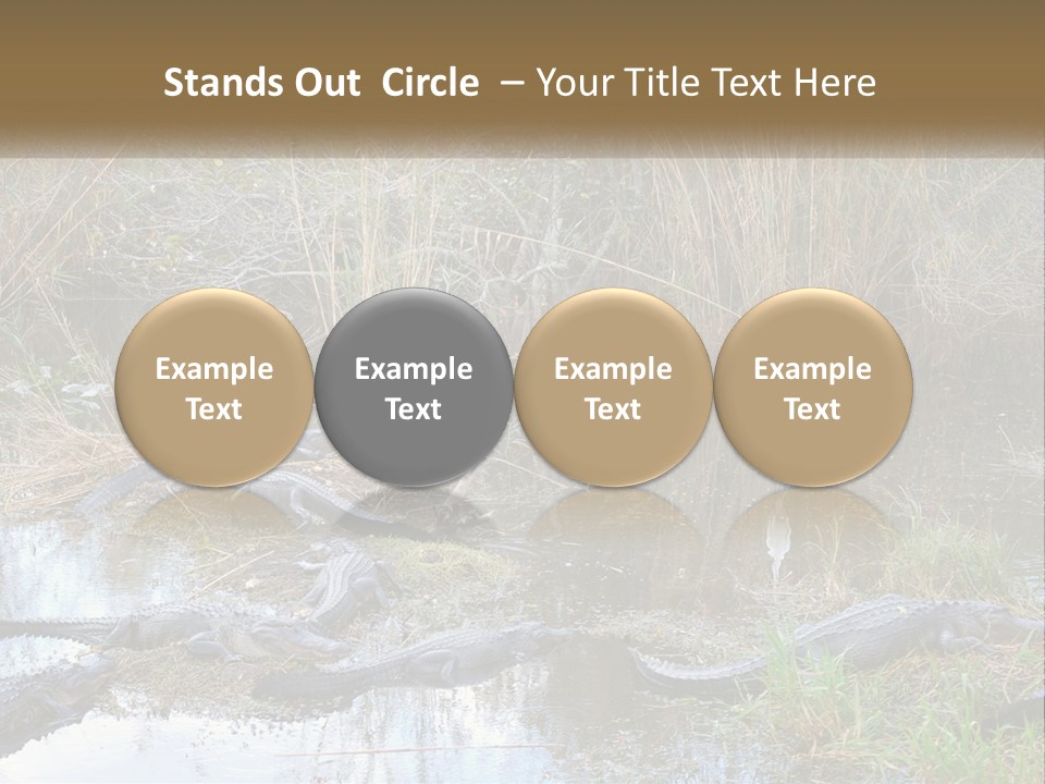 Ventilation Heat House PowerPoint Template