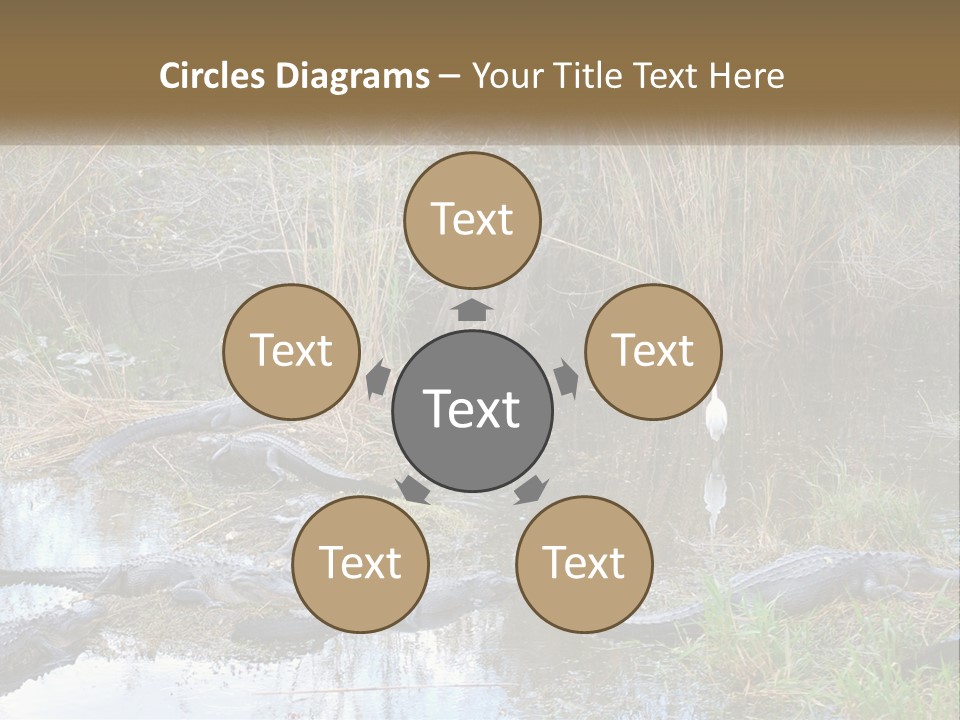 Ventilation Heat House PowerPoint Template