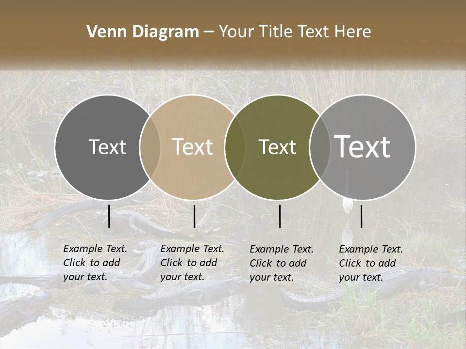 Ventilation Heat House PowerPoint Template