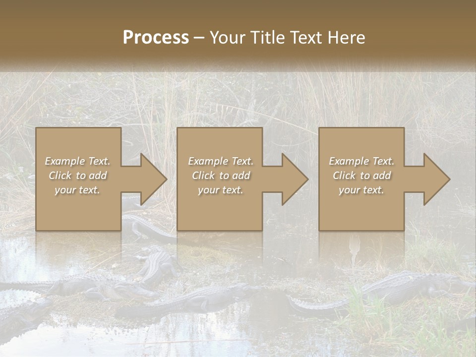 Ventilation Heat House PowerPoint Template