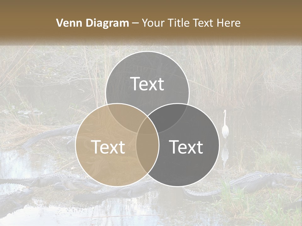 Ventilation Heat House PowerPoint Template