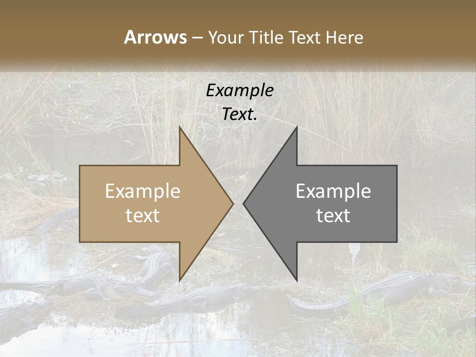 Ventilation Heat House PowerPoint Template