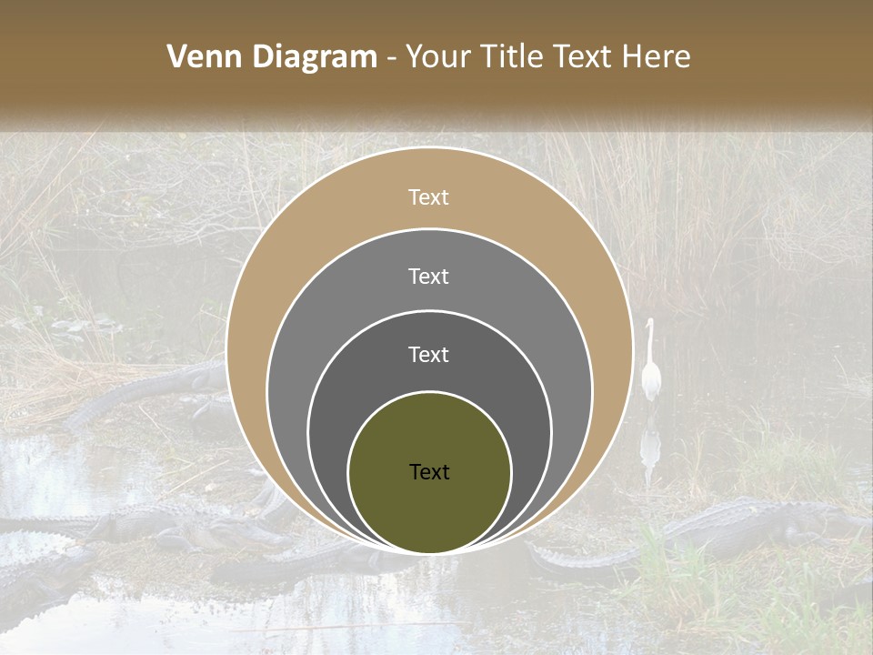 Ventilation Heat House PowerPoint Template