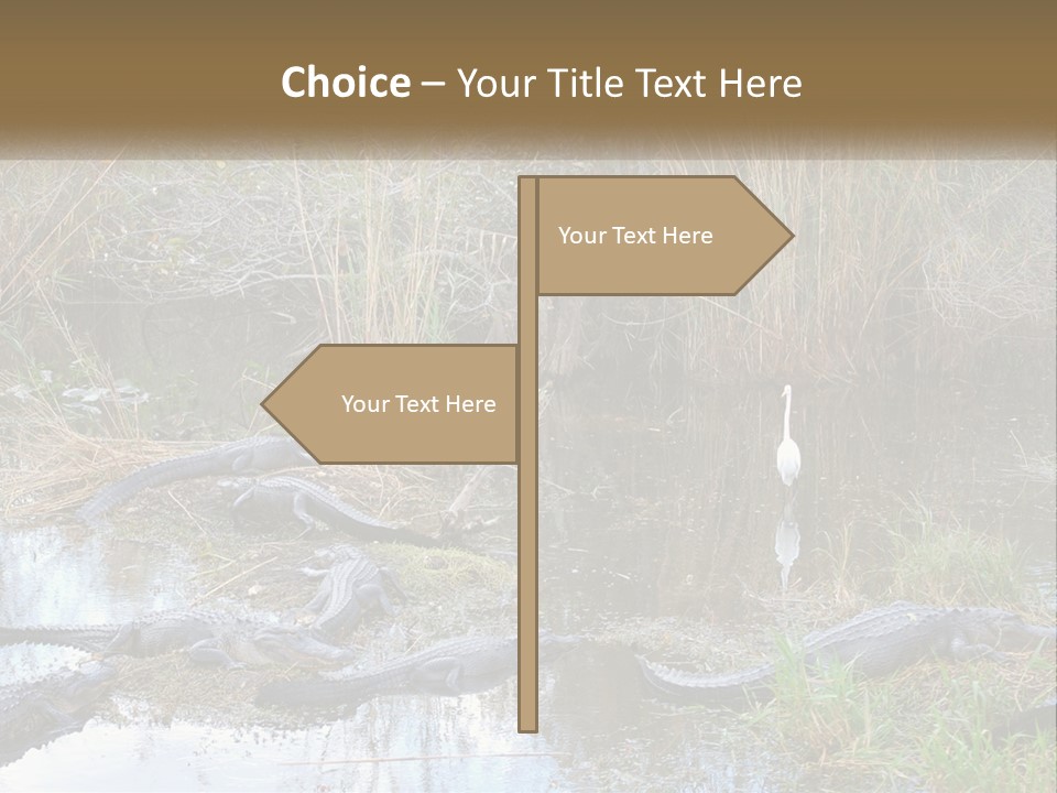 Ventilation Heat House PowerPoint Template