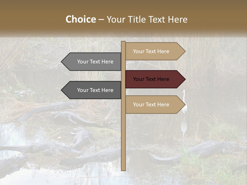 Ventilation Heat House PowerPoint Template