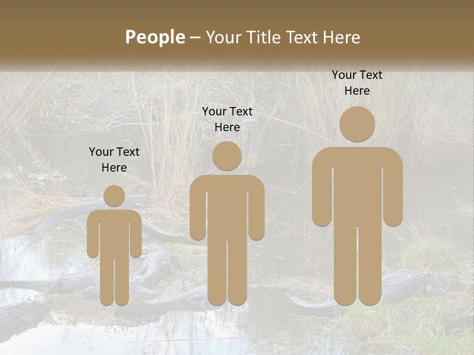 Ventilation Heat House PowerPoint Template