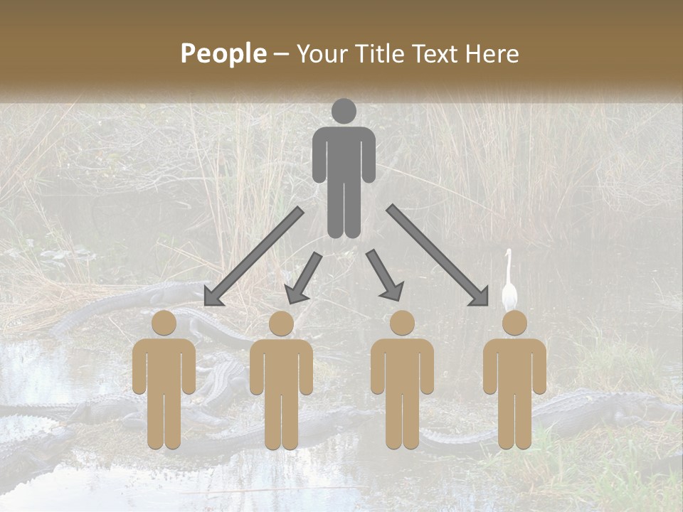 Ventilation Heat House PowerPoint Template