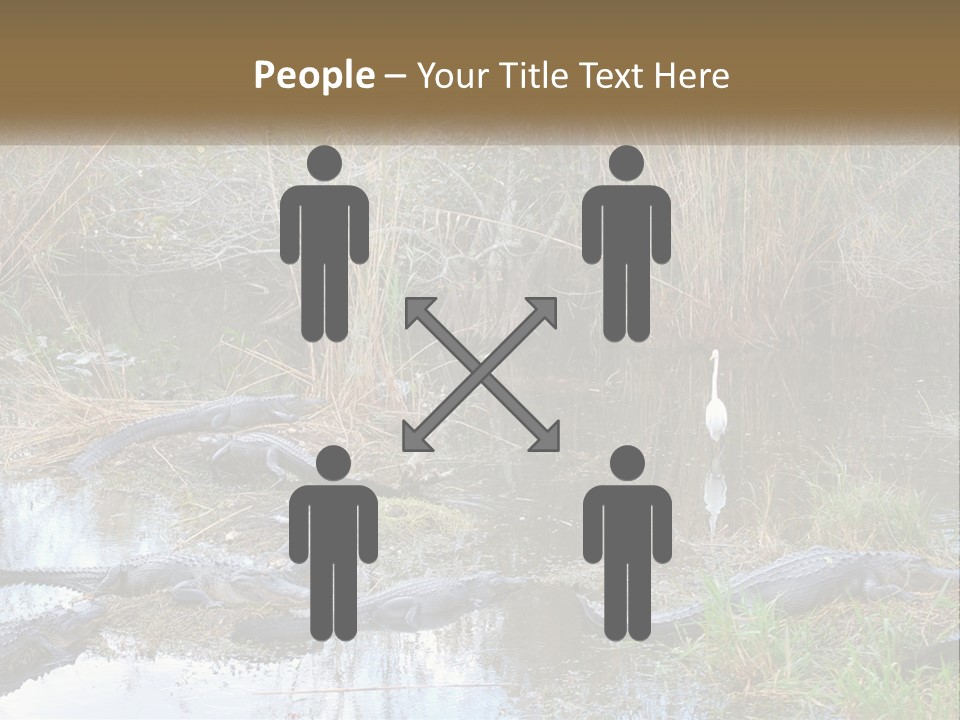 Ventilation Heat House PowerPoint Template