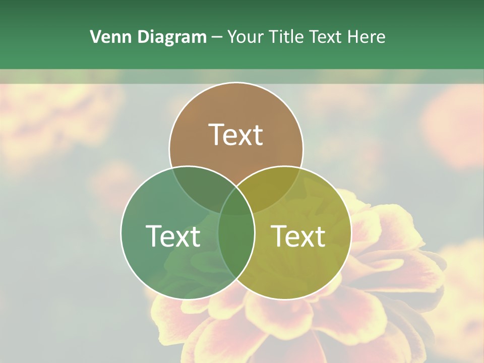 Air Electric Temperature PowerPoint Template