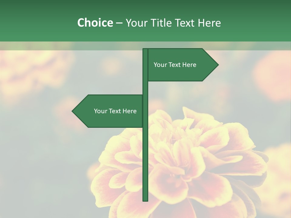 Air Electric Temperature PowerPoint Template