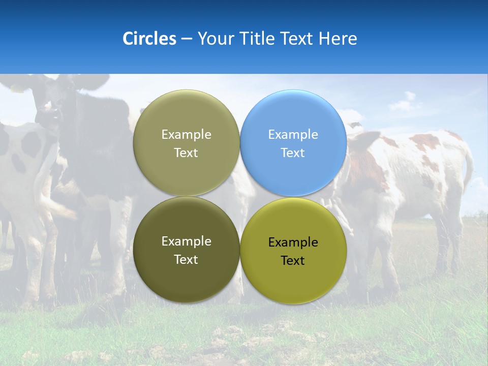 Ventilation Cold Remote PowerPoint Template