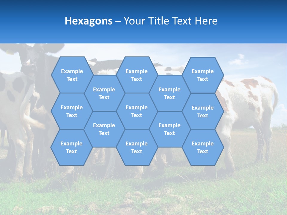 Ventilation Cold Remote PowerPoint Template