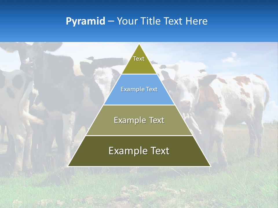 Ventilation Cold Remote PowerPoint Template