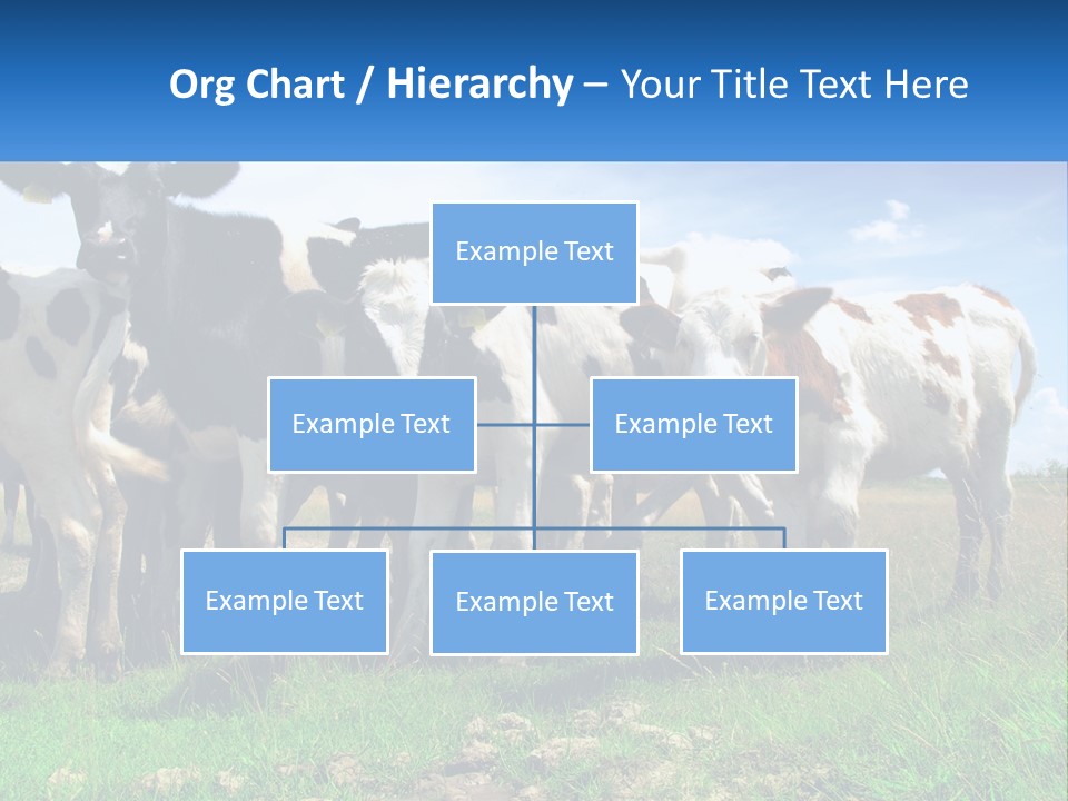 Ventilation Cold Remote PowerPoint Template