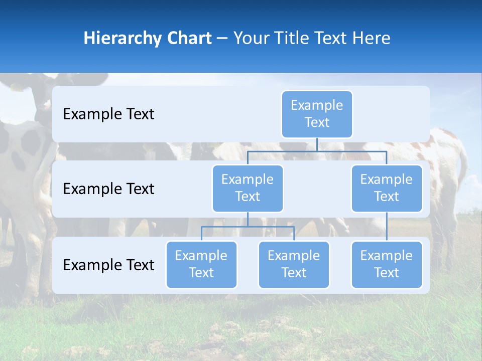 Ventilation Cold Remote PowerPoint Template